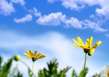 الطقس: أجواء دافئة نهارا وماطرة ليلا