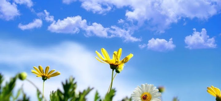 الطقس: أجواء دافئة نهارا وماطرة ليلا