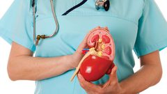 3 قواعد ذهبية للحفاظ على صحة الكلى