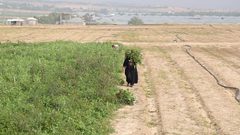 جانب من أعمال المزارعين في بيت لاهيا شمال قطاع غزة

تصوير: عمر القطاع