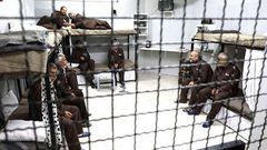 هيئة الأسرى: إدارة سجون الاحتلال تواصل عزل الأسير عمر خرواط