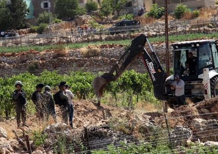 الاحتلال يقتلع عشرات أشجار الزيتون ويجرف أراضي جنوب بيت لحم