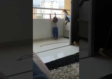 قطة تمنع طفلاً من تسلق شرفة منزله