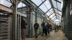 هيئة الأسرى: 200 أسير أصيبوا بكورونا منذ بداية 2021