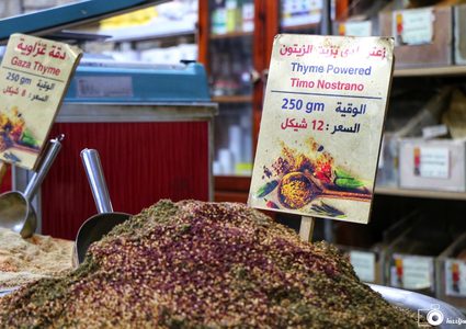 جولة في مطحنة بريك في البلدة القديمة بنابلس