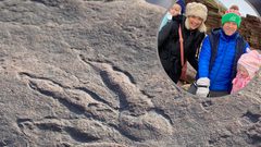 طفلة بريطانية تعثر على بصمة بحث عنها العلماء لسنوات طويلة