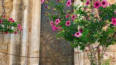 جولة في مدينة يافا "عروس فلسطين "

عدسة : أيمن سوقي