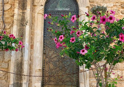 جولة في مدينة يافا "عروس فلسطين "

عدسة : أيمن سوقي