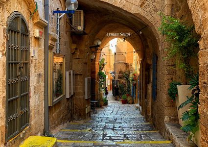 جولة في مدينة يافا "عروس فلسطين "

عدسة : أيمن سوقي