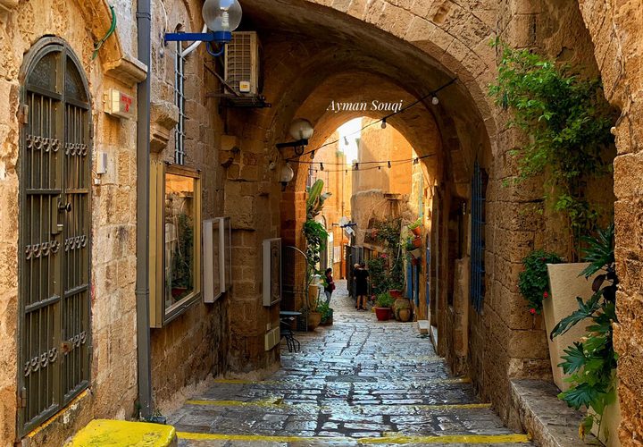 جولة في مدينة يافا "عروس فلسطين "

عدسة : أيمن سوقي
