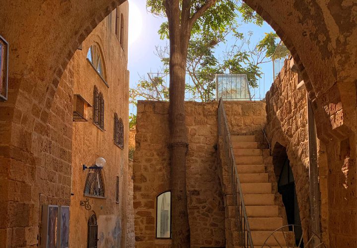 جولة في مدينة يافا "عروس فلسطين "

عدسة : أيمن سوقي