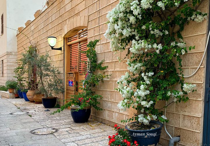 جولة في مدينة يافا "عروس فلسطين "

عدسة : أيمن سوقي