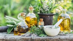 أعشاب سحرية للوقاية من أمراض الرئة وتعزيز صحة الجهاز التنفسي