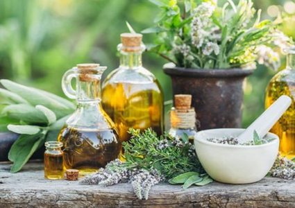 أعشاب سحرية للوقاية من أمراض الرئة وتعزيز صحة الجهاز التنفسي