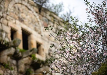 قرية لفتا المهجرة في القدس