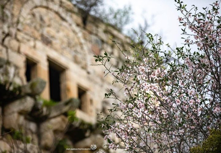 صور لقرية لفتا المهجرة 

تصوير: فادي عميرة