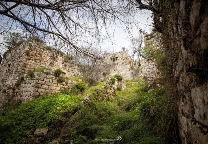 صور لقرية لفتا المهجرة 

تصوير: فادي عميرة