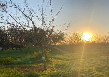 الطقس: أجواء دافئة حتى نهاية الأسبوع