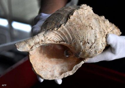 العثور على آلة موسيقية عمرها 18 ألف عام