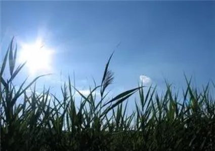 الطقس: أجواء صافية ودافئة حتى الإثنين