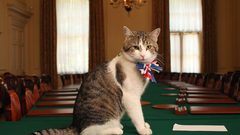 قط يحتفل بمرور عقد على توليه منصبا رسميا في لندن