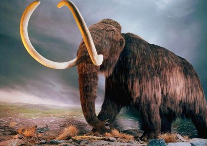 العلماء يستخرجون أقدم حمض نووي في العالم