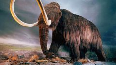 العلماء يستخرجون أقدم حمض نووي في العالم