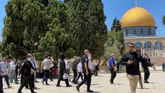 مستوطنون يقتحمون باحات الاقصى وينفذون جولات استفزازية