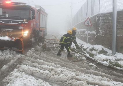 الدفاع المدني يتعامل مع 165 حادثا منذ بداية المنخفض