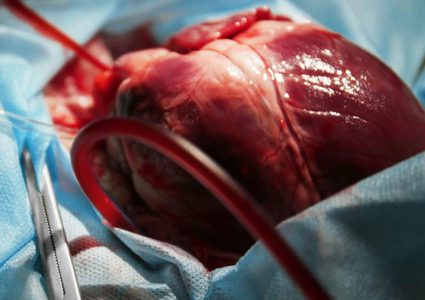 دراسة بريطانية تكشف التأثير الخطير لكورونا على صحة القلب