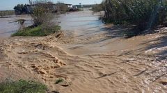 الاحتلال يغرق أراضي المواطنين الزراعية شرق غزة