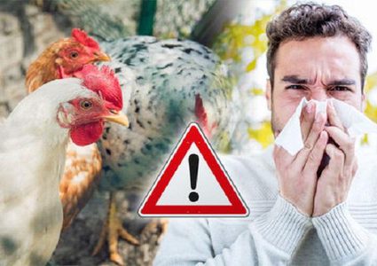 روسيا تسجل أول إصابة بشرية بإنفلونزا الطيور