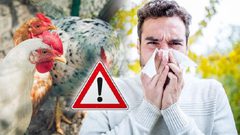 روسيا تسجل أول إصابة بشرية بإنفلونزا الطيور