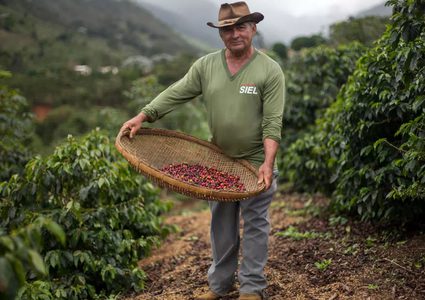 سوق القهوة نجحت في تجاوز أزمة الوباء