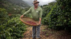 سوق القهوة نجحت في تجاوز أزمة الوباء