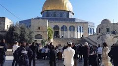 39 مستوطنا يقتحمون الاقصى وينفذون جولات استفزازية