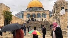 الكسواني: فتح المسجد الأقصى أمام المصلين في شهر رمضان