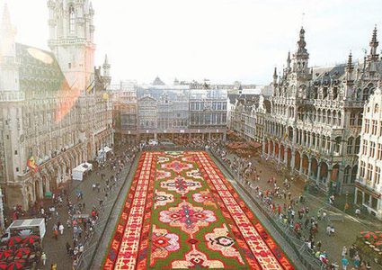 منظمة "إخوانية" تعاود الظهور في بلجيكا