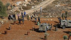 رام الله: مستوطنون يقتحمون أطراف حي الطيرة