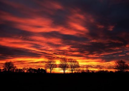 ما هي خطورة "السماء الحمراء" على مرضى الأزمة والربو ؟