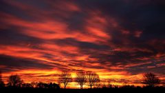 ما هي خطورة "السماء الحمراء" على مرضى الأزمة والربو ؟