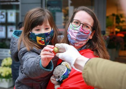 دراسة: احتمالية نقل الفيروس إلى شخص تعيش معه ضعيفة