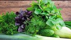 لماذا تعد الخضروات الورقية ذات قيمة غذائية كبيرة؟