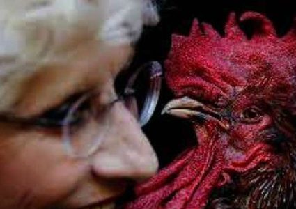 "انقلب السحر على الساحر".. ديك يقتل صاحبه بالهند