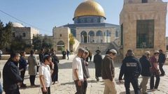 153 مستوطنا اقتحموا باحات الأقصى