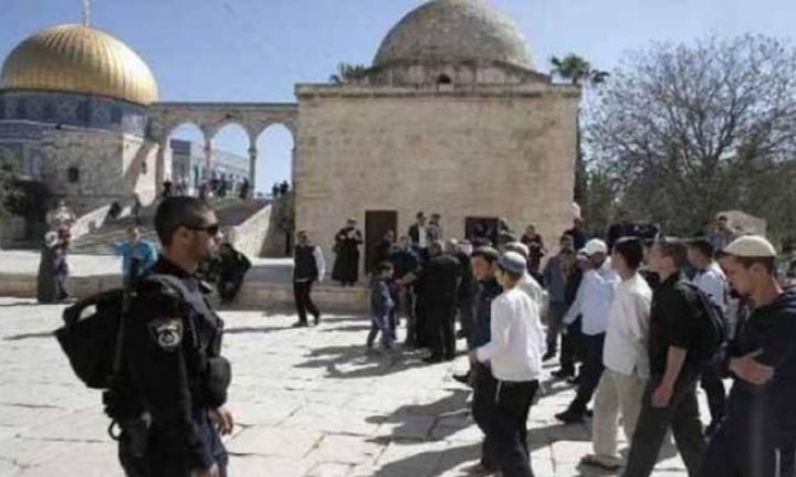89 مستوطنا يقتحمون باحات "الأقصى" بحماية مشددة