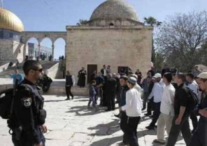 89 مستوطنا يقتحمون باحات "الأقصى" بحماية مشددة