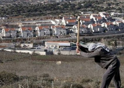 واشنطن تدعو إسرائيل للامتناع عن خطوات تصعب حل الدولتين