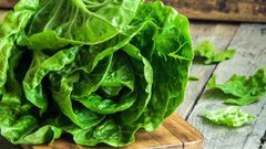 فوائد الخس.. حماية للقلب ووقاية من السرطان