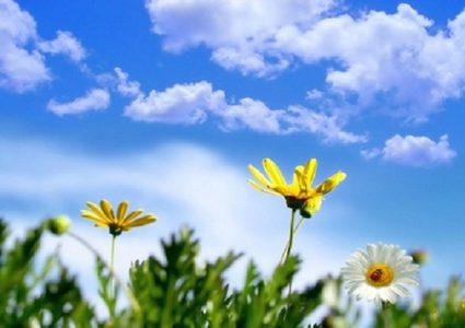 الطقس: أجواء صافية ويطرأ ارتفاع طفيف على درجات الحرارة